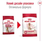 15кг Корм ROYAL CANIN Medium Adult 7+ для взрослых собак средних пород