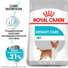 1кг Корм ROYAL CANIN Mini Urinary Care для взрослых собак мелких пород с чувствительной мочевыделительной системой