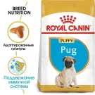 1,5кг Корм ROYAL CANIN Pug Puppy для щенков породы Мопс до 10 месяцев