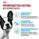 3кг Корм ROYAL CANIN French Bulldog Puppy для щенков породы Французский Бульдог до 12 месяцев