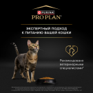 0,4кг Корм PRO PLAN Junior Delicate для котят при чувствительном пищеварении с Индейкой