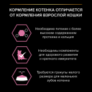 3кг Корм PRO PLAN Junior Delicate для котят при чувствительном пищеварении с Индейкой