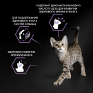 3кг Корм PRO PLAN Junior для котят с Курицей