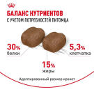 1,5кг Корм ROYAL CANIN Dental Feline диета для взрослых кошек с повышенной чувствительностью ротовой полости