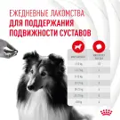 240г Лакомство Royal Canin Skin & Coat для собак с Птицей