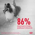 240г Лакомство Royal Canin Skin & Coat для собак с Птицей