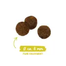 10кг Корм Bosch Sanabelle Classic Adult для взрослых кошек с домашней Птицей