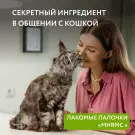 5г*3шт Лакомство Мнямс для кошек Лакомые палочки с Уткой и Кроликом