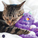 Игрушка Catstages для кошек Мурчащая подушка с кошачьей мятой, 30см
