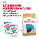 1,5кг Корм ROYAL CANIN Yorkshire Puppy для щенков породы Йоркширский Терьер до 10 месяцев (срок до 02.10.2026)