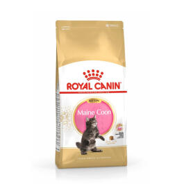 0,4кг Корм ROYAL CANIN Maine Coon Kitten для котят породы Мейн Кун до 15 месяцев