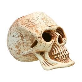 Декорация из светлой керамики Череп, 12*13,5см Декорация из светлой керамики Череп, 12*13,5см