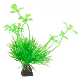 Растение пластиковое Медоса Марсилия зеленая, 10см