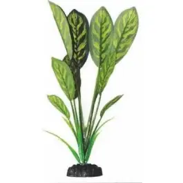Растение Aquatic plant для аквариума Дифинбахия зеленая, 16см