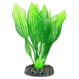 Растение Aquatic plant для аквариума Апоногетон зеленый, 16см Растение Aquatic plant для аквариума Апоногетон зеленый, 16см