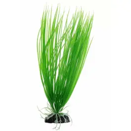 Растение аквариумное Уют Осока, 12см Растение аквариумное Уют Осока, 12см