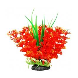 Растение аквариумное Уют Амбулия оранжевая с кружевными листьями, 12см Растение аквариумное Уют Амбулия оранжевая с кружевными листьями, 12см