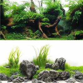 Фон для аквариума BARBUS двухсторонний  (Зеленый рай/Воды амазонки) 45*94см