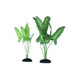 Растение аквариумное шелковое Анубиас Жилле, 20см