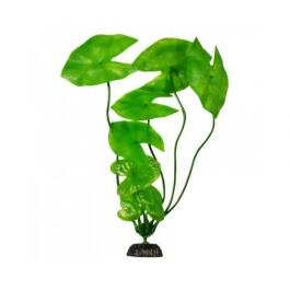 Plant Нимфея в Блистере 30см