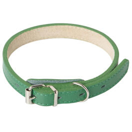 Ошейник Mr.Kranch для собак из натуральной кожи Зеленый, 17-20см