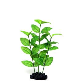 Растение аквариумное шелковое Гигрофила узколистная, 30см