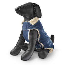 Комбинезон Mantel Skull джинсовый утеплённый со стразами для собак XXS 22см