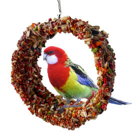 180г Лакомство Smile King для мелких птиц и попугаев Лакомые качели