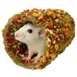230г Лакомство Smile King для хомяков и крыс Домик-туннель