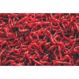 МОТЫЛЬ КРУПНЫЙ, живой для рыбалки, 1000г