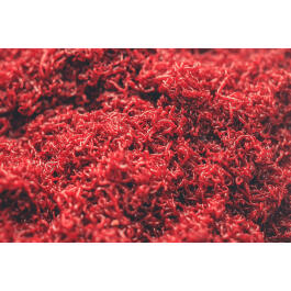 МОТЫЛЬ мелкий ЛИМАННЫЙ живой для прикормки, 1000г