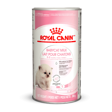 0,3кг Заменитель молока ROYAL CANIN Babycat Milk для котят от рождения до отъема (0-2 месяца)