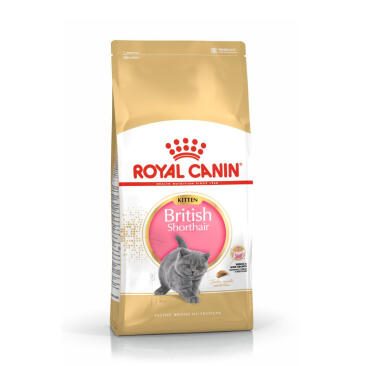 10кг Корм ROYAL CANIN British Shorthair Kitten для котят Британских короткошерстных до 12 месяцев