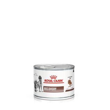 195гр Royal Canin Recovery для взрослых кошек и собак в востановительный период после болезни, паштет