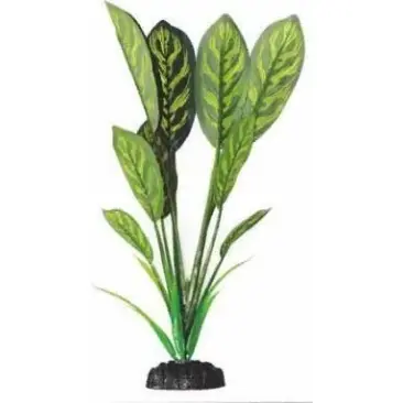 Растение Aquatic plant для аквариума Дифинбахия зеленая, 16см
