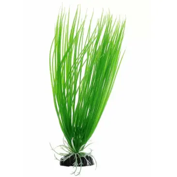 Растение аквариумное Уют Осока, 12см