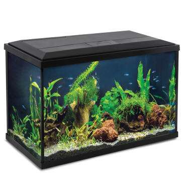 Аквариум Laguna Aqua Breeze, 75,7л, 612*230*431мм, черный