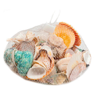 Декорация Barbus ФРУКТЫ МОРЯ ракушка Большая, 1шт
