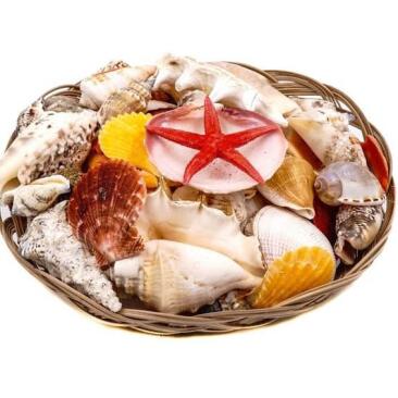 Декорация для аквариума Фрукты моря в корзине, 19см