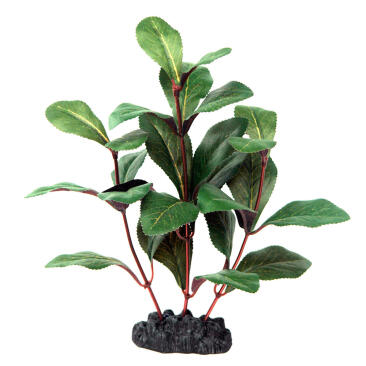 Растение аквариумное шелковое Гигрофила многосеменная Розанервиг, 20см