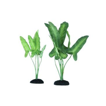 Растение аквариумное шелковое Анубиас Жилле, 20см