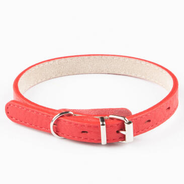 Ошейник Mr.Kranch для собак из натуральной кожи Красный, 17-20см