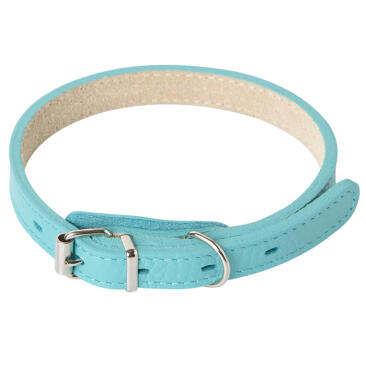 Ошейник Mr.Kranch для собак из натуральной кожи Бирюзовый, 20-25см