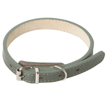 Ошейник Mr.Kranch для собак из натуральной кожи Оливковый, 20-25см
