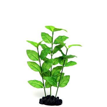 Растение аквариумное шелковое Гигрофила узколистная, 30см