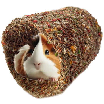 450г Лакомство Smile King для морских свинок Домик-туннель