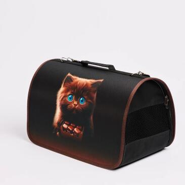 Сумка-переноска LOORI "Кот с шоколадом", 46*28*29см