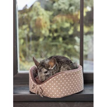 Лежак LOORI для грызунов Коричневые звёзды, 23*14см