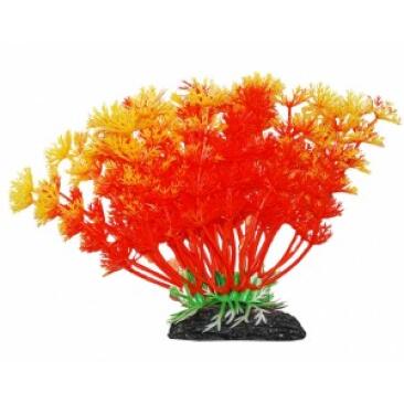 Растение аквариумное Уют Амбулия оранжевая, 10см