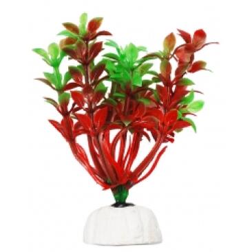 Растение аквариумное Уют Гемиантус красно-зелёный, 10см